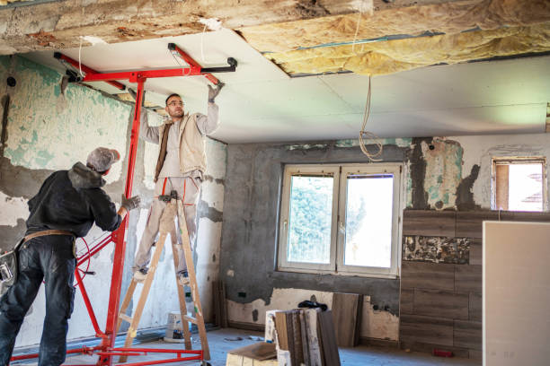 Best Insulation Installation Services in Albany, KY